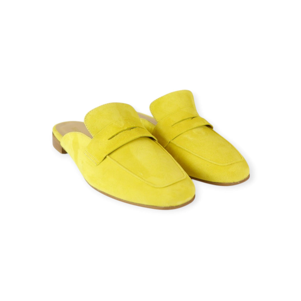 SABOT GIALLO
