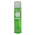 PERLIER DEODORANTE PARFUM VETIVER 100 ML